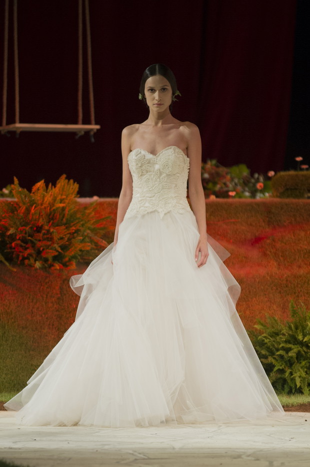 David_Fielden_brd_S15_145