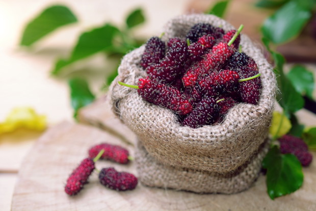 Polskie superfoods - morwa