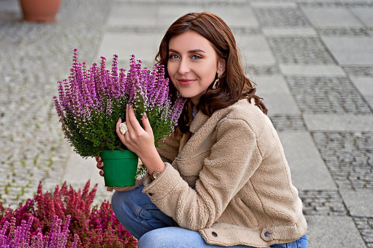 Ta roślina wzmacnia aurę i oczyszcza przestrzeń