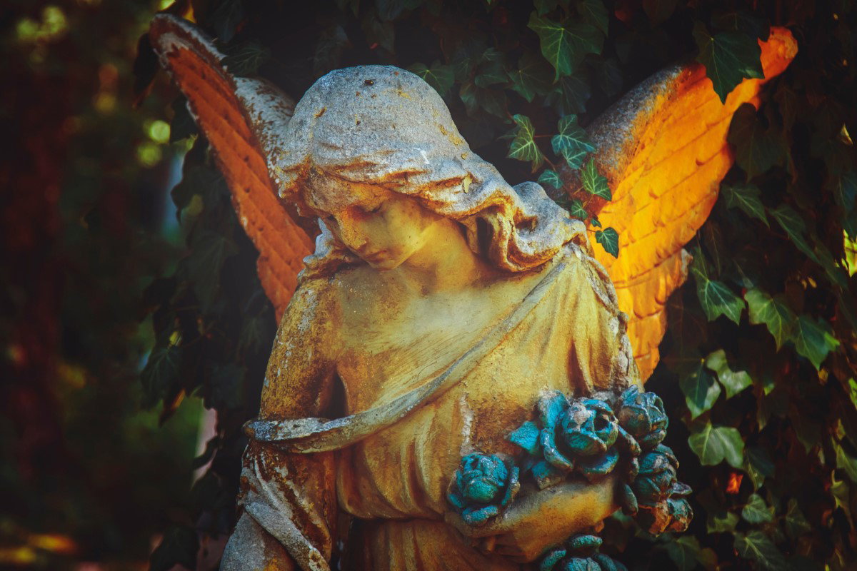 Anioł listopada już wskazał wybrańców