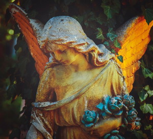 Anioł listopada już wskazał wybrańców