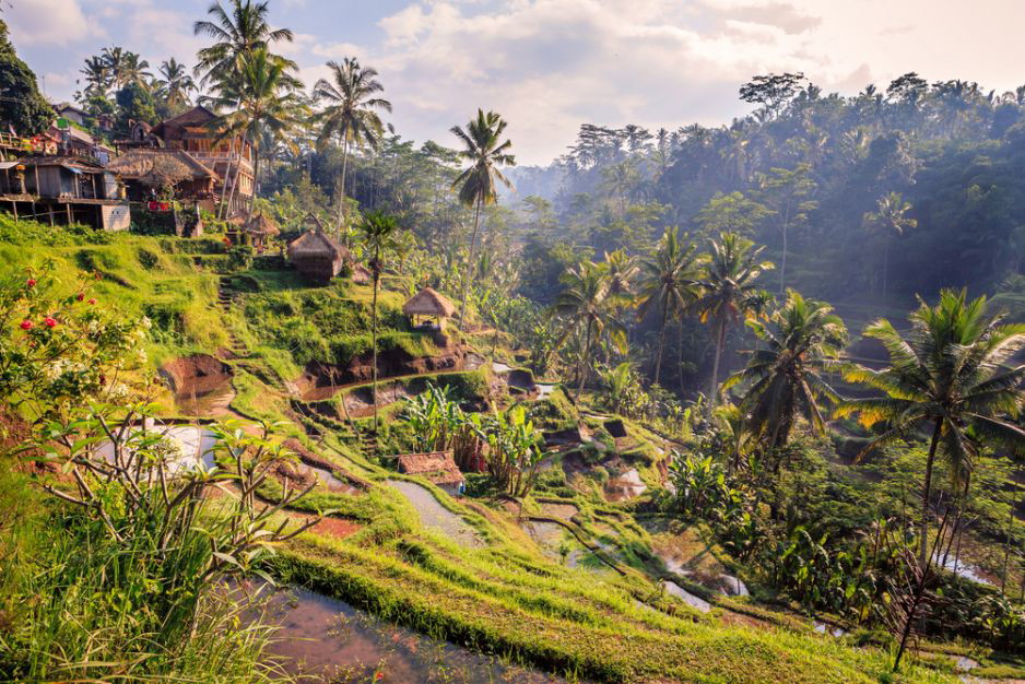 Indonezja