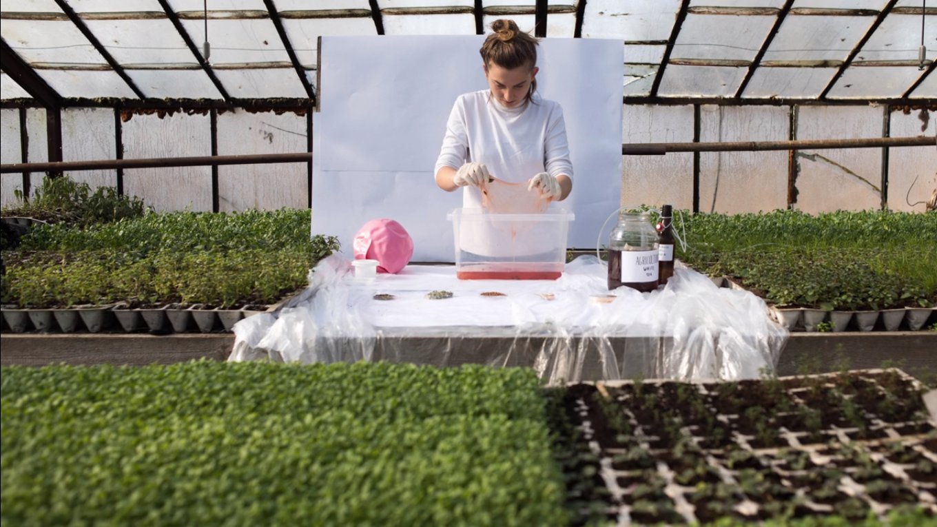 SCOBY jadalne opakowanie, które zastąpi plastik