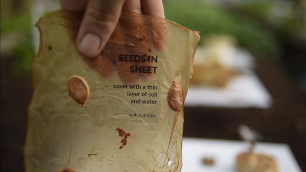 SCOBY jadalne opakowanie, które zastąpi plastik