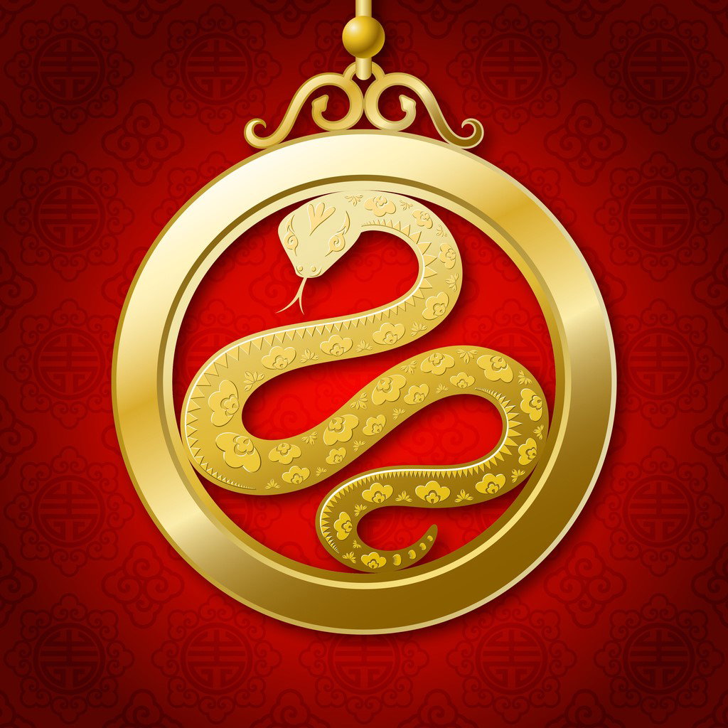 Chinese New Year Snake Coin