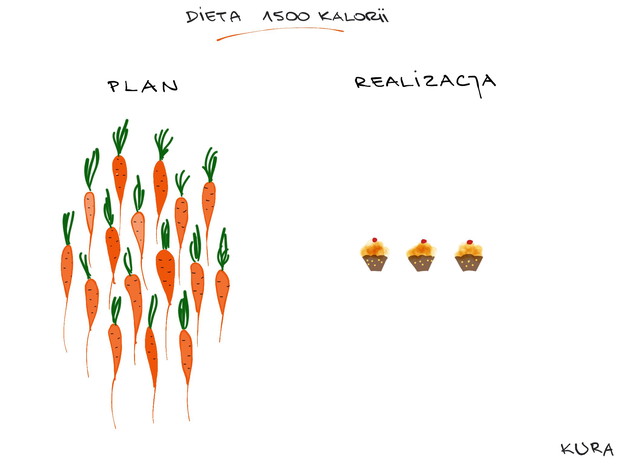 Kobiece życie okiem ilustratorki