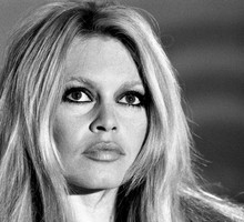 Brigitte Bardot po raz kolejny stanie przed sądem za nieumiejętnie prowadzoną walkę o los swoich pupili