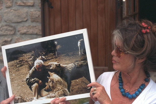 Brigitte Bardot po raz kolejny stanie przed sądem za nieumiejętnie prowadzoną walkę o los swoich pupili