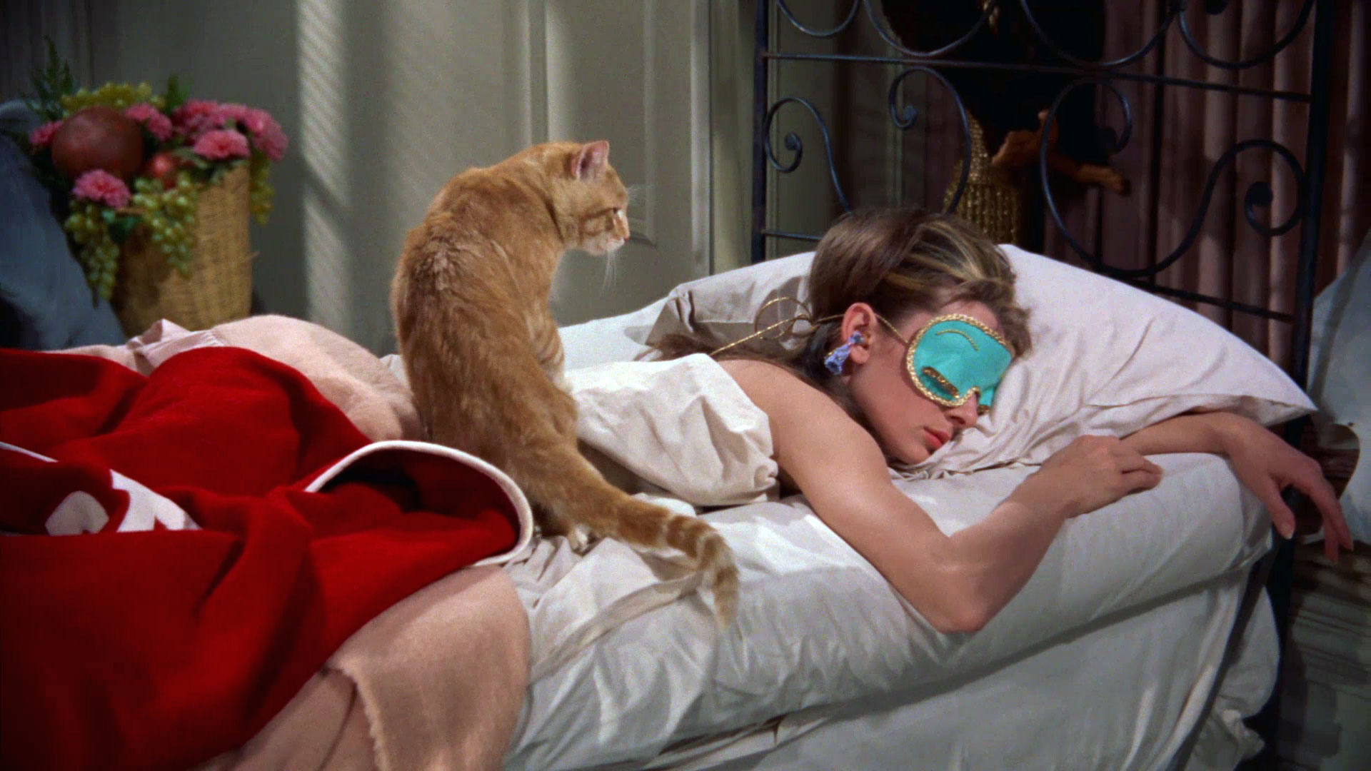 Eksperyment NASA ma na celu opracowanie metody, która pomogłaby astronautom odwrócić  niekorzystny wpływ przebywania w stanie nieważkości.