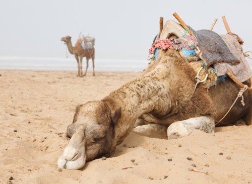 Keratynowe prostowanie włosów