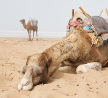 Keratynowe prostowanie włosów