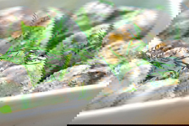 7 rzeczy, które robimy źle aplikując makijaż