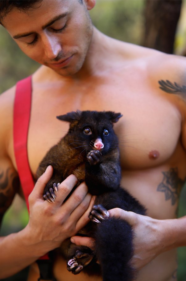 Australijscy strażacy pozują ze zwierzętami