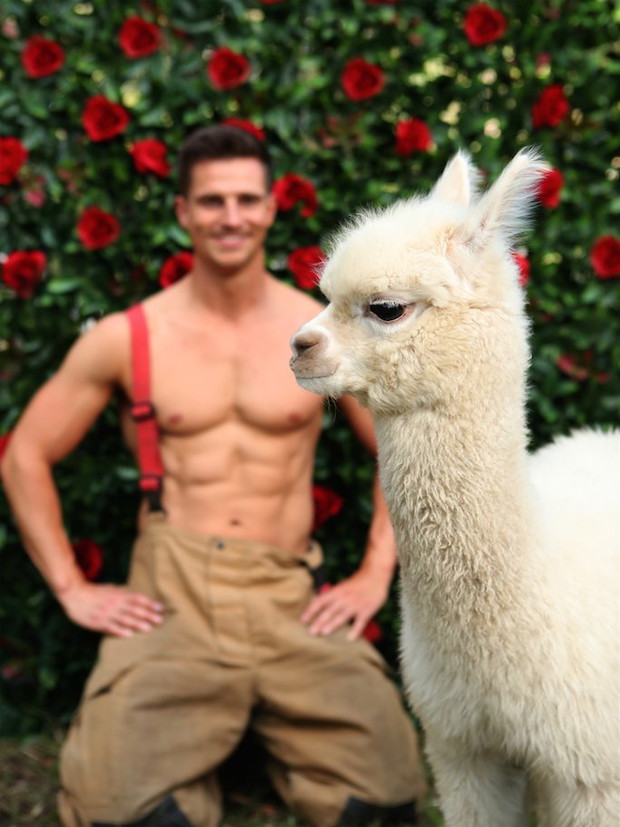 Australijscy strażacy pozują ze zwierzętami