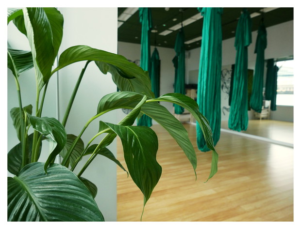 Ten trend podbił serca kobiet na całym świecie! Czym jest aerial joga?