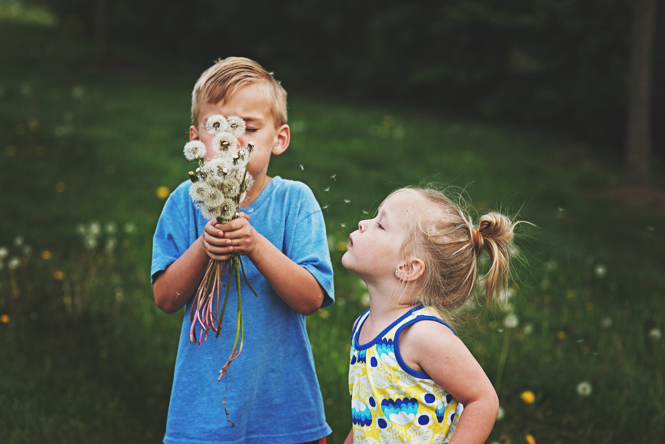 kalendarz pylenia 2020: co teraz pyli?