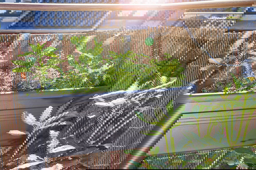 Odpicuj sobie balkon na wiosnę