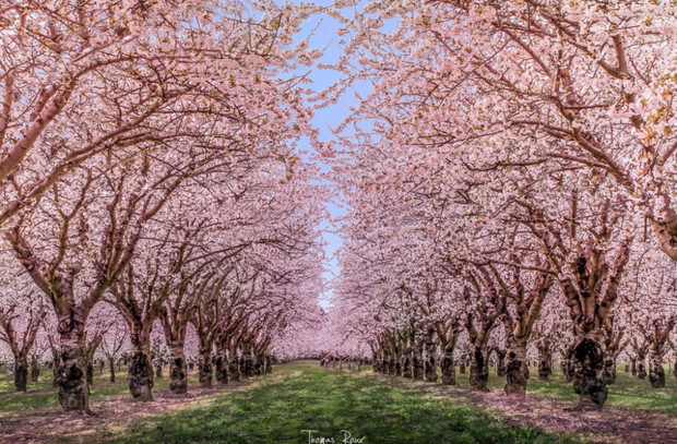 451055-1000-1457808918-9