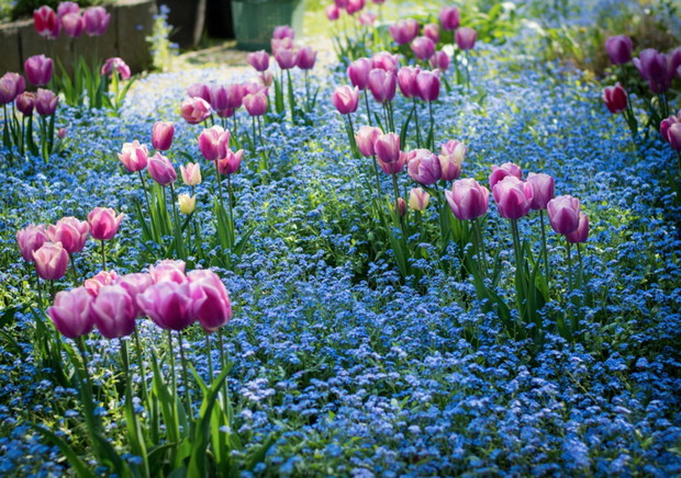 451255-1000-1457808918-03