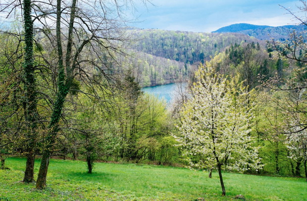 451455-1000-1457808918-34324214124