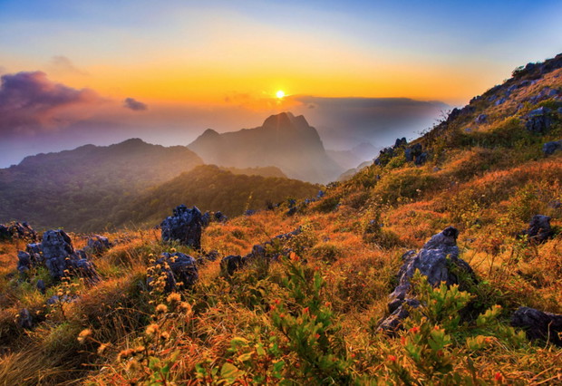 451605-1000-1457808918-1