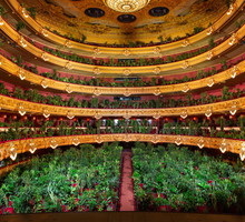 Koncert dla roślin w Barcelonie