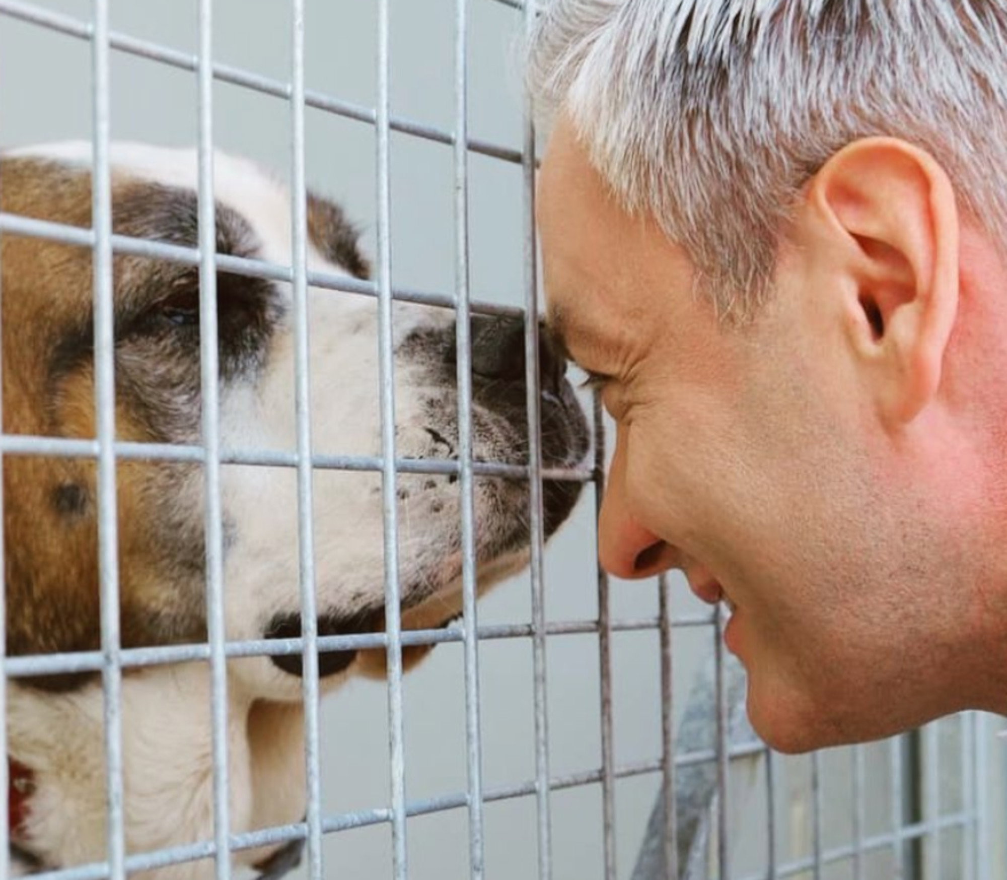 Robert Biedroń i walka o prawa zwierząt