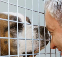 Robert Biedroń i walka o prawa zwierząt