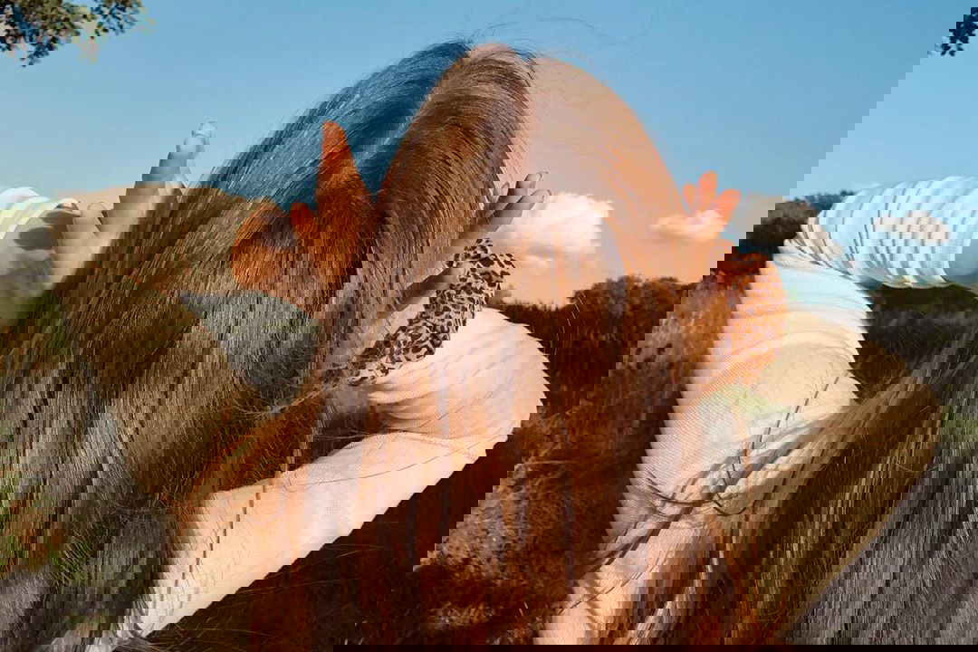 Susz włosy od góry do dołu