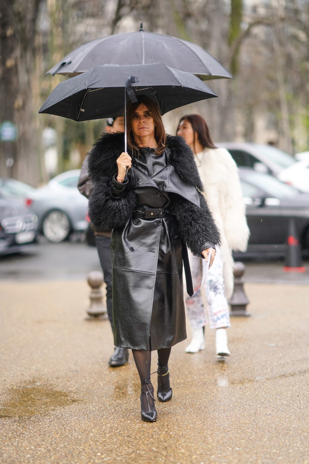 Carin Roitfeld