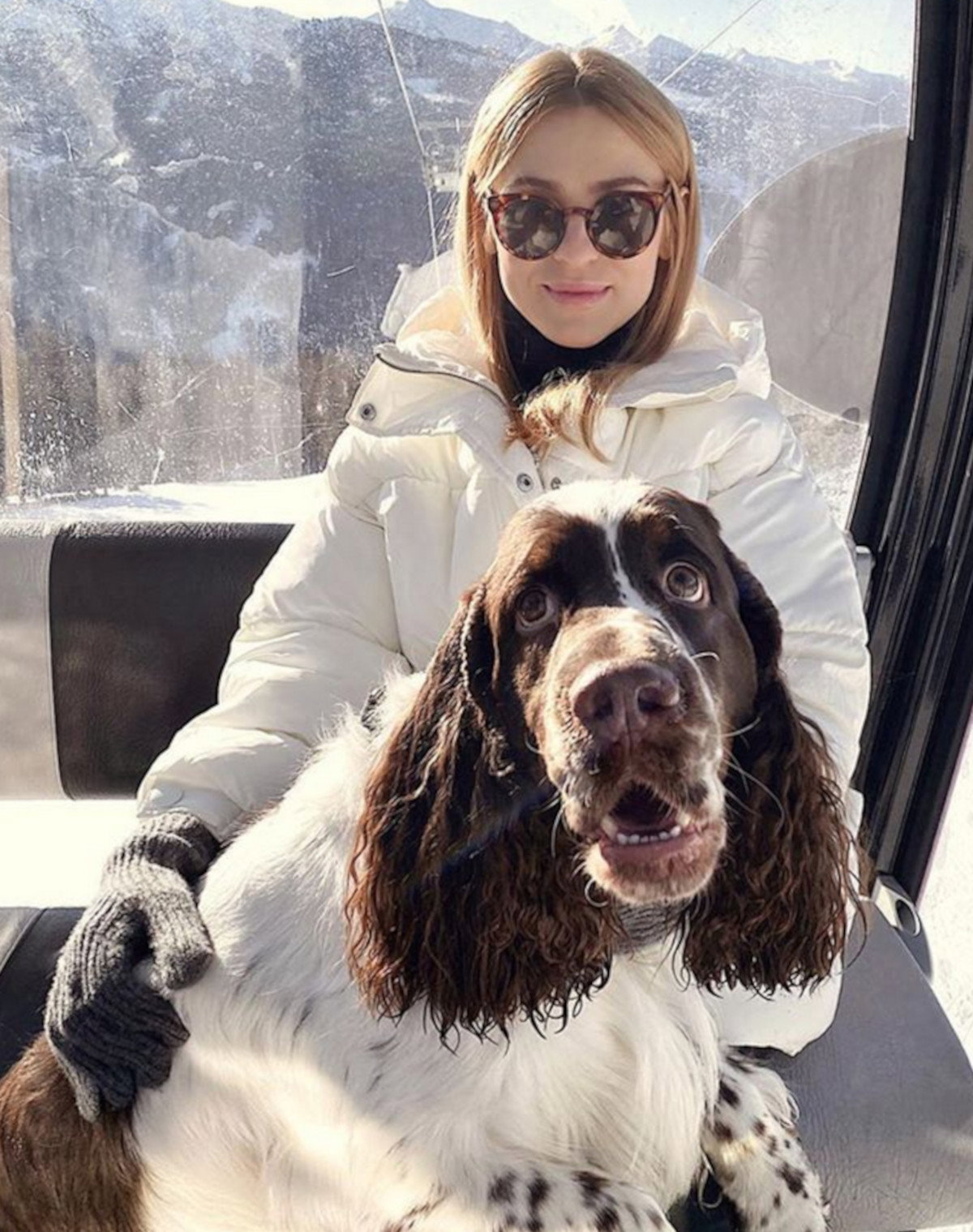 Pies Kasi Tusk Portos