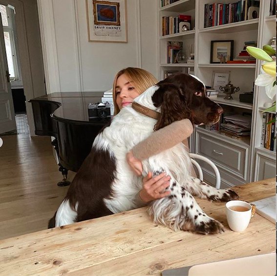 Pies Kasi Tusk Portos