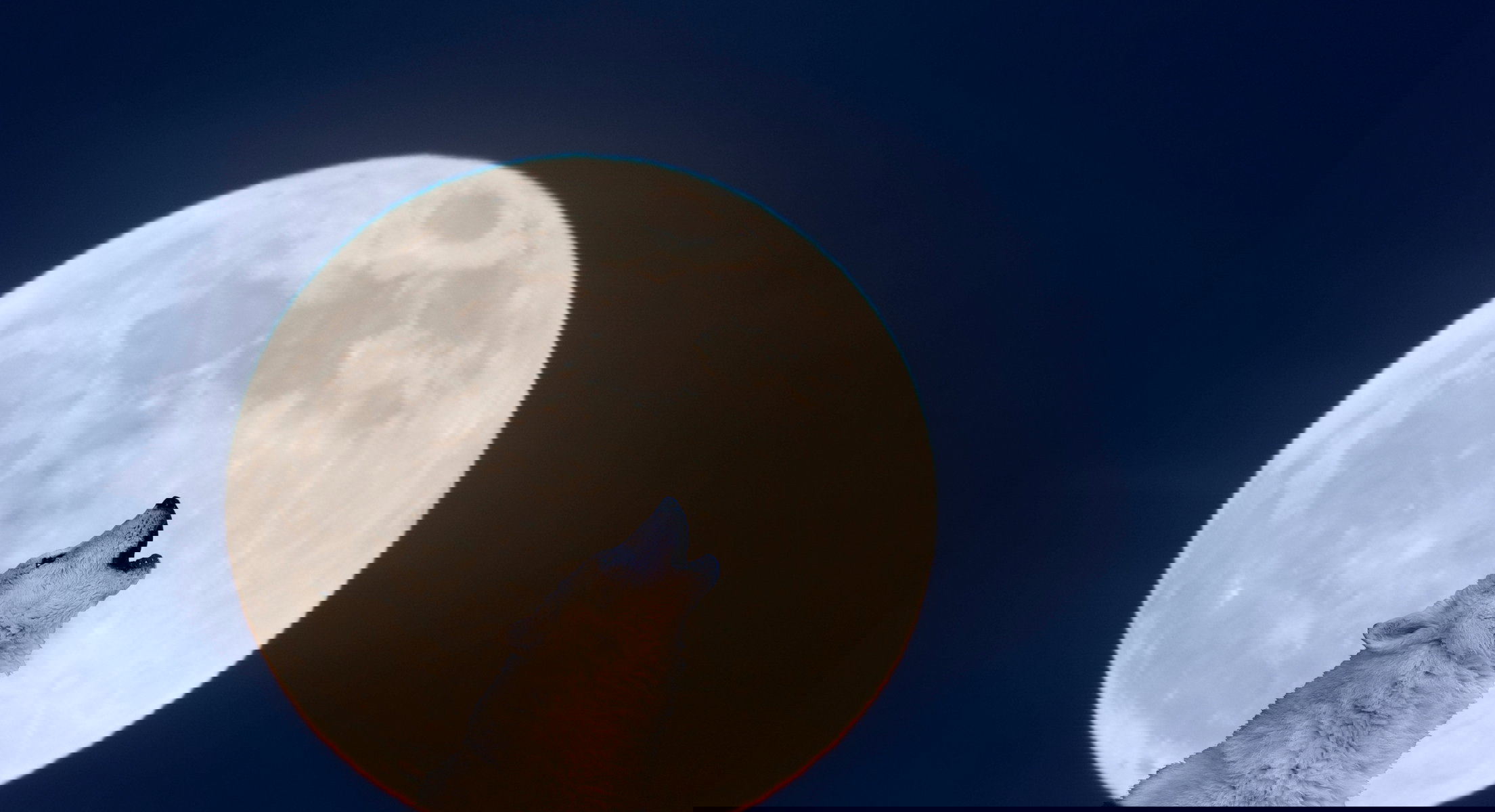 NIebieska pełnia Księżyca w Halloween