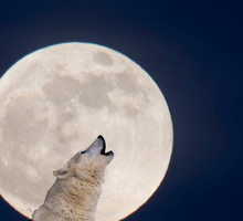 NIebieska pełnia Księżyca w Halloween