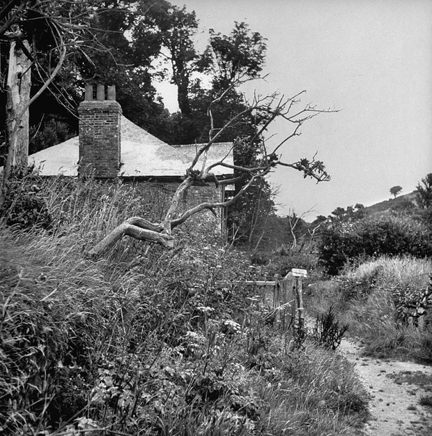 Historia domu z Rebeki