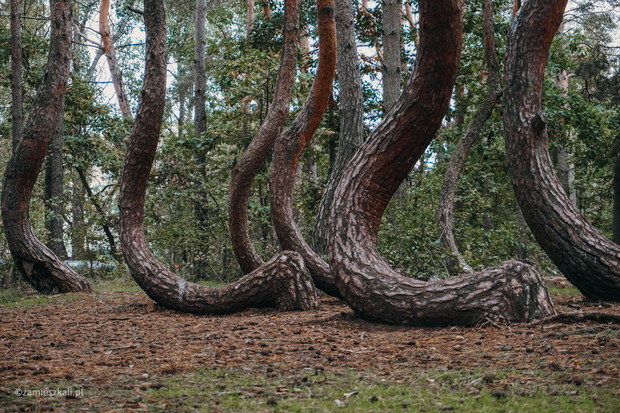 Turystyczne Mistrzowstwa Blogerów - zamieszkali