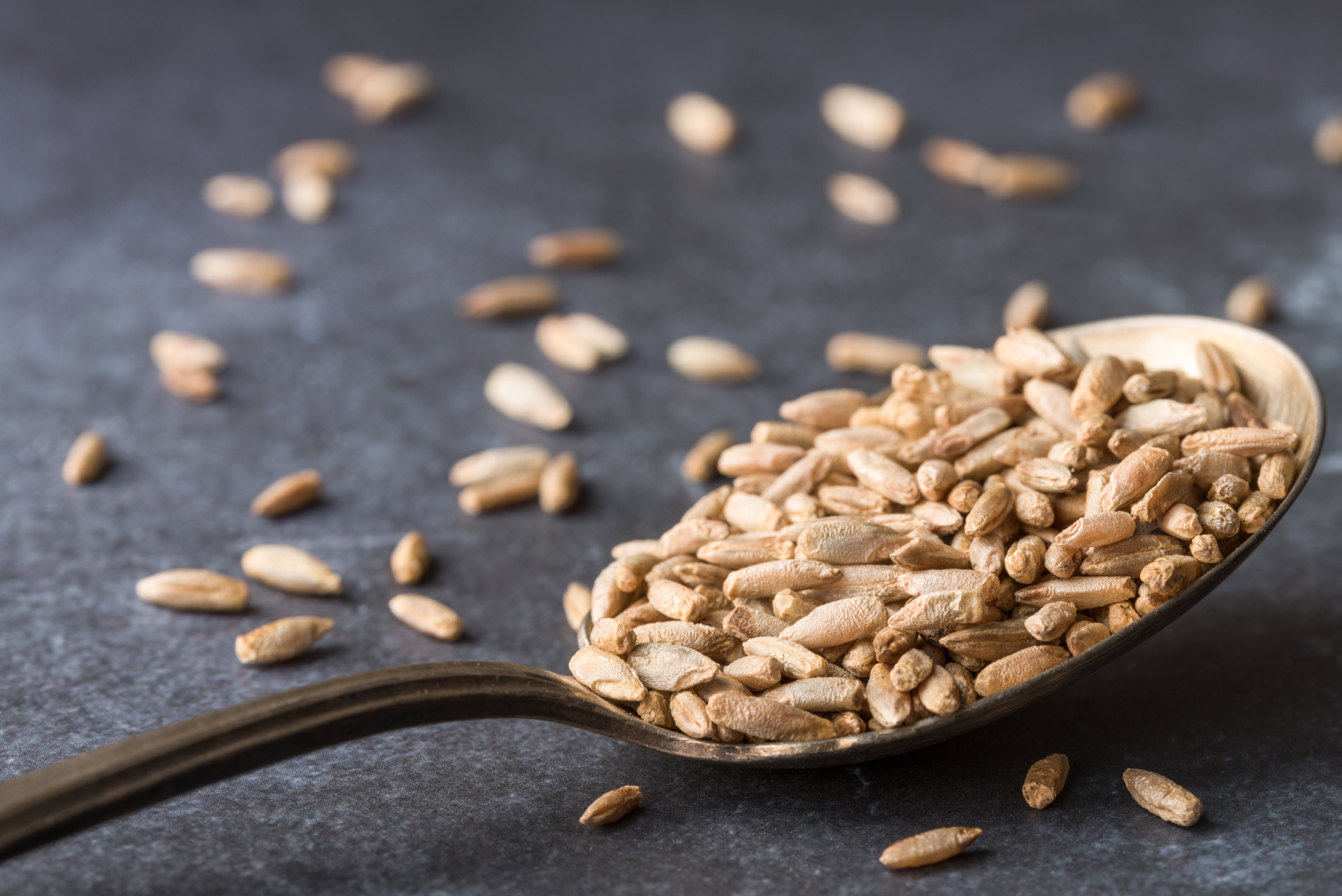 Glifosat - niebezpieczny pestycyd, który może mieć działanie rakotwórcze