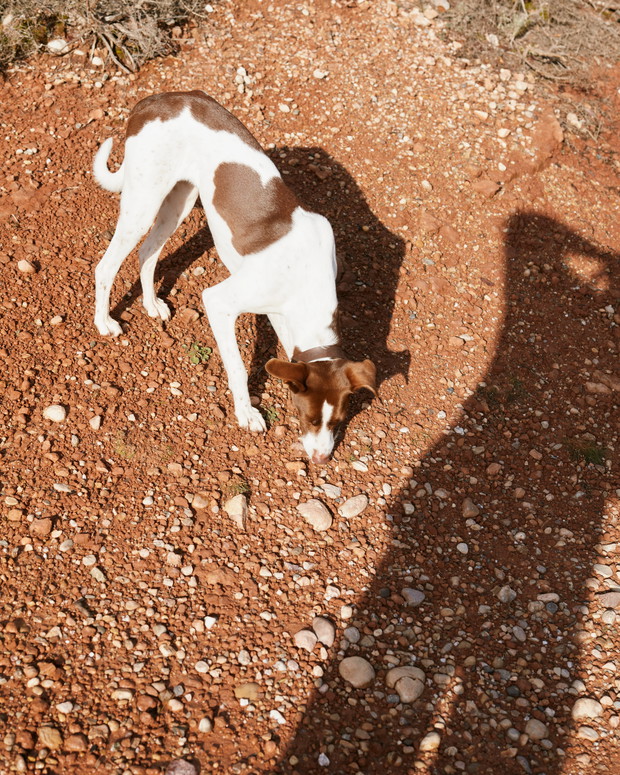 „Jej obraz, jej historia”. & Other Stories świętuje Dzień Kobiet serią ośmiu autoportretów