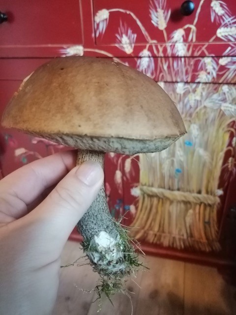 Kuchnia w stylu vintage artystycznej Kasi