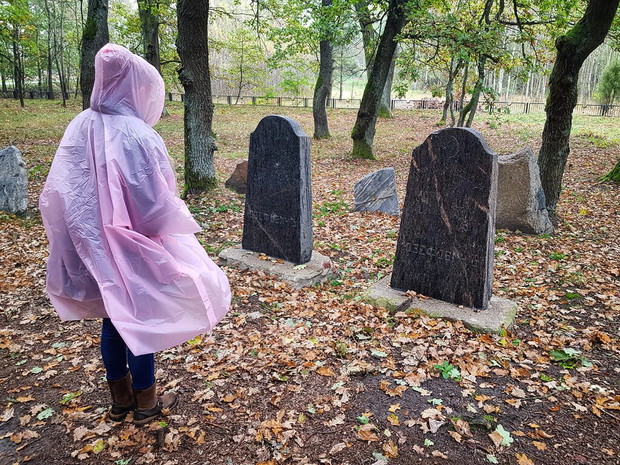 Mizary w Zastawku i Studziance