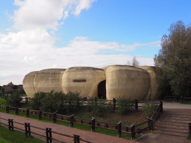 Prehistoryczne oceanarium