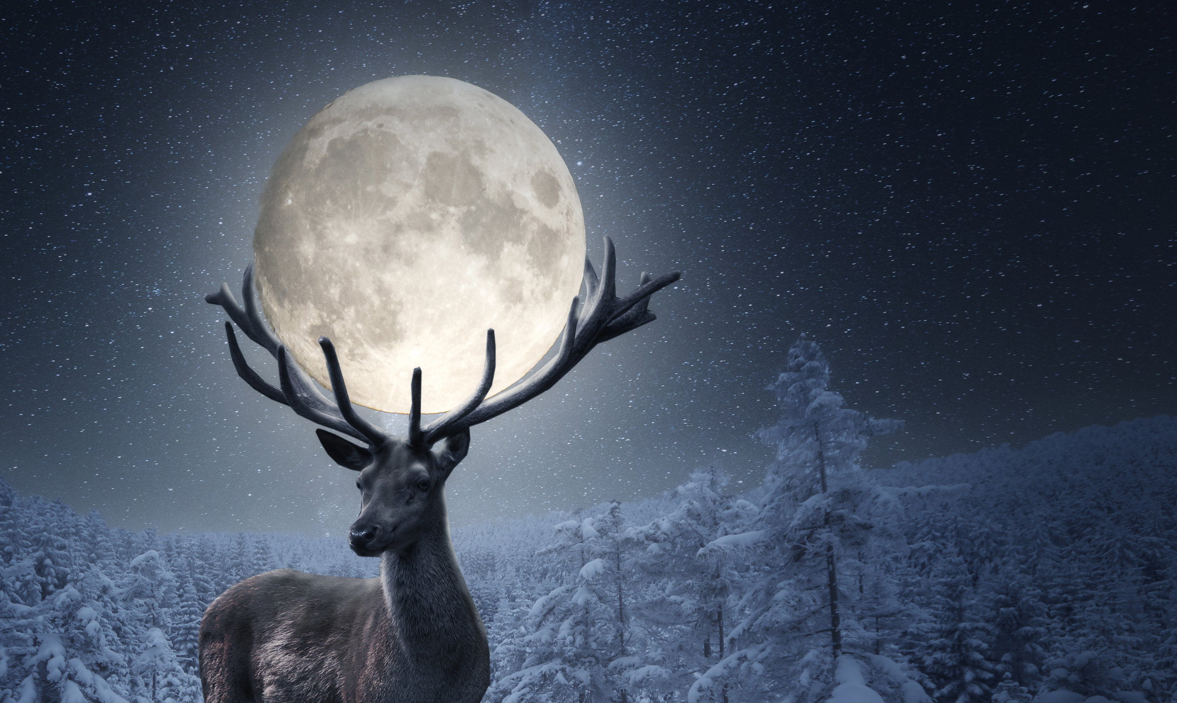 Styczniowa Pełnia - co wydarzy się 28 stycznia 2021?