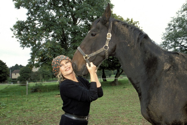 Szokujące wyznanie Brigitte Bardot na temat molestowania