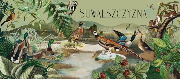 SZTUKA KOLAŻU - Aneta Klejnowska-Karpińska