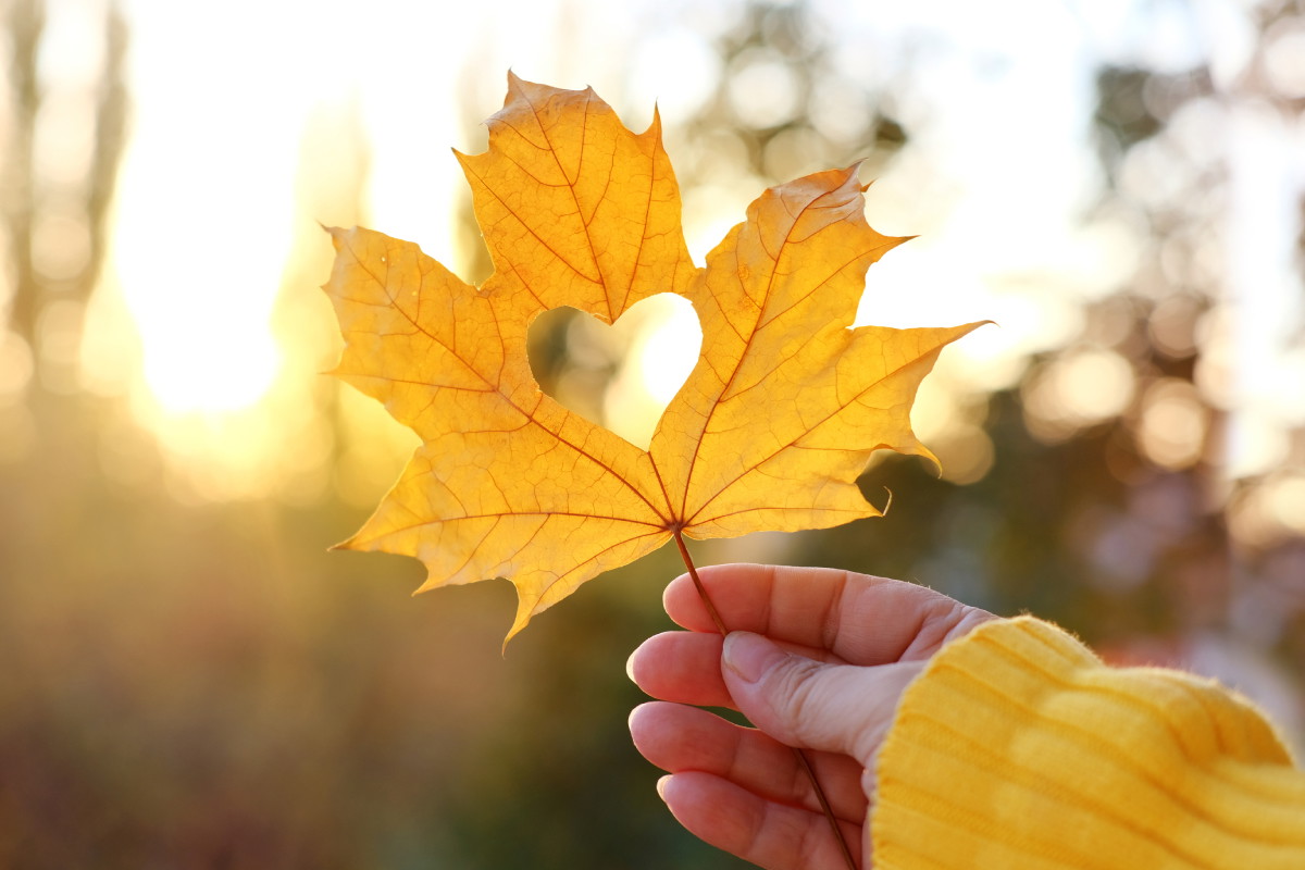 Anioł miłości zadba na początku jesieni o 3 znaki zodiaku
