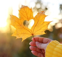 Anioł miłości zadba na początku jesieni o 3 znaki zodiaku
