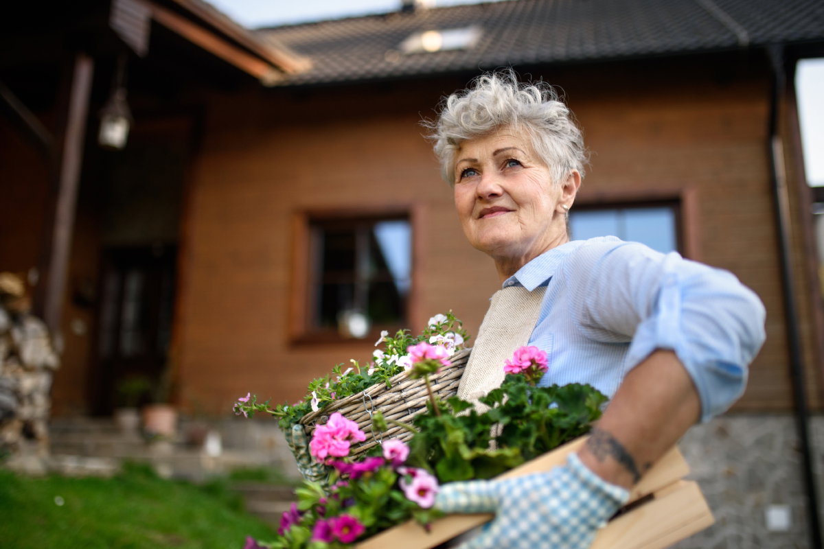 Jeśli masz w domu ten kwiat, pozbądź się go do końca sierpnia