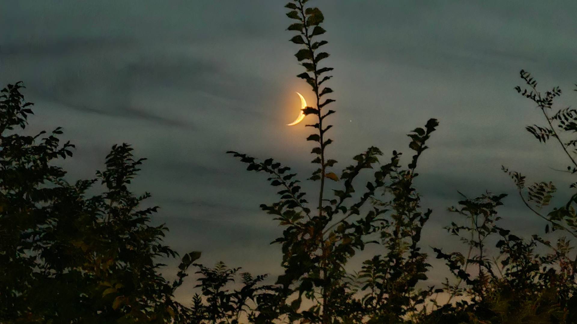 nów Księżyca zamiesza w naszym życiu