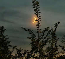 nów Księżyca zamiesza w naszym życiu