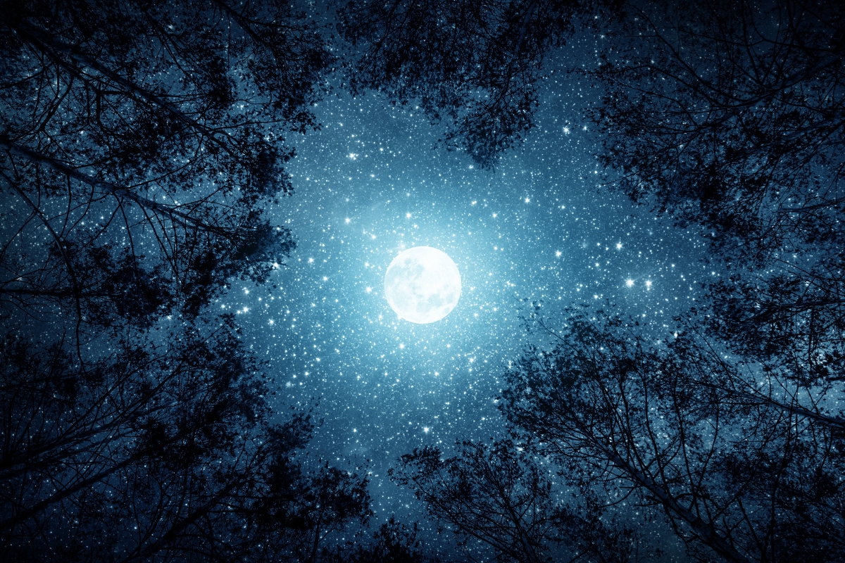 Tygodniowa prognoza astrologiczna 26 sierpnia-1 września 2024